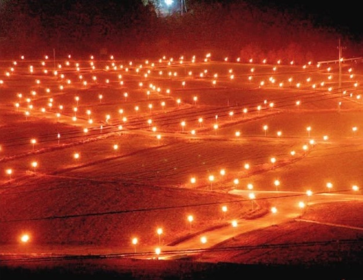 【徳島イベント情報2024】イルミネーション情報まとめ＆雰囲気たっぷりおすすめスポットも紹介！