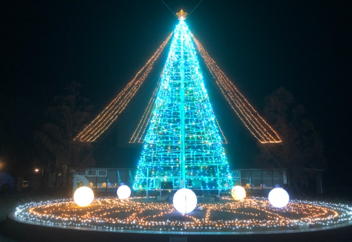 【徳島イベント情報2024】イルミネーション情報まとめ＆雰囲気たっぷりおすすめスポットも紹介！