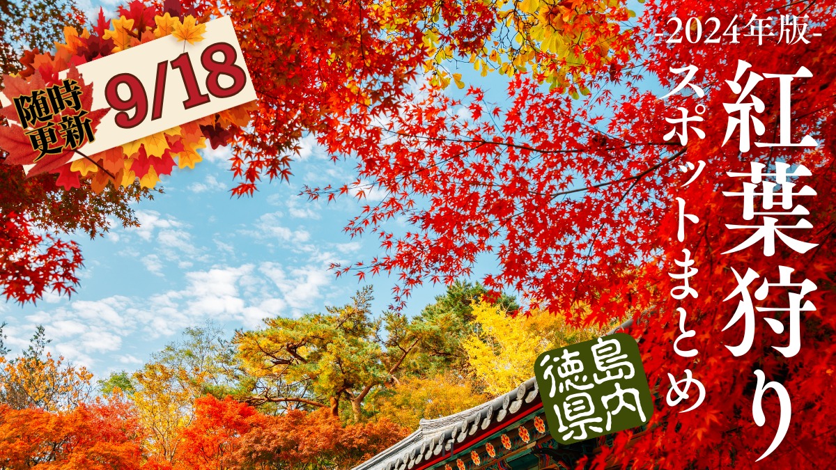【2024年最新版】徳島の紅葉スポットまとめ/おでかけ・ドライブ
