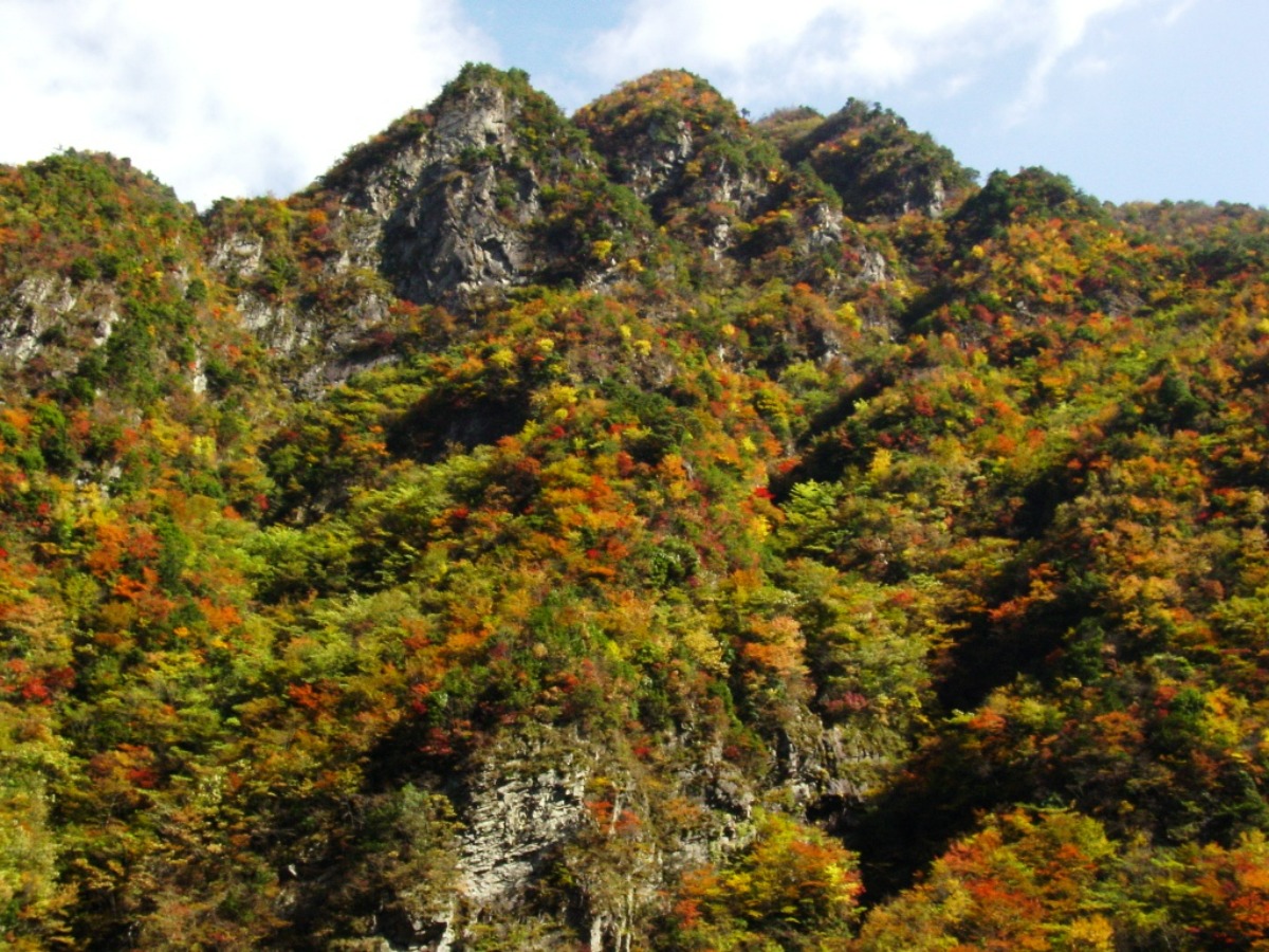 徳島の紅葉スポットまとめ2025【秋のドライブコースはここで決まり！】