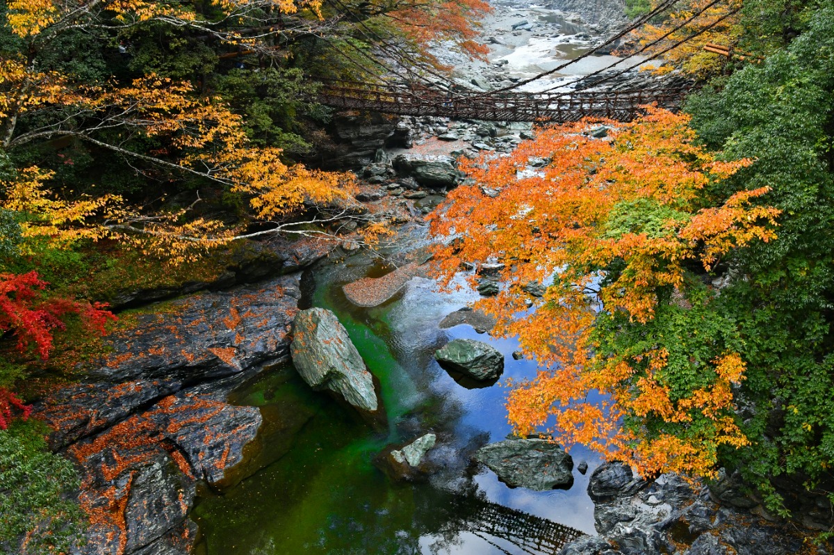 徳島の紅葉スポットまとめ2025【秋のドライブコースはここで決まり！】