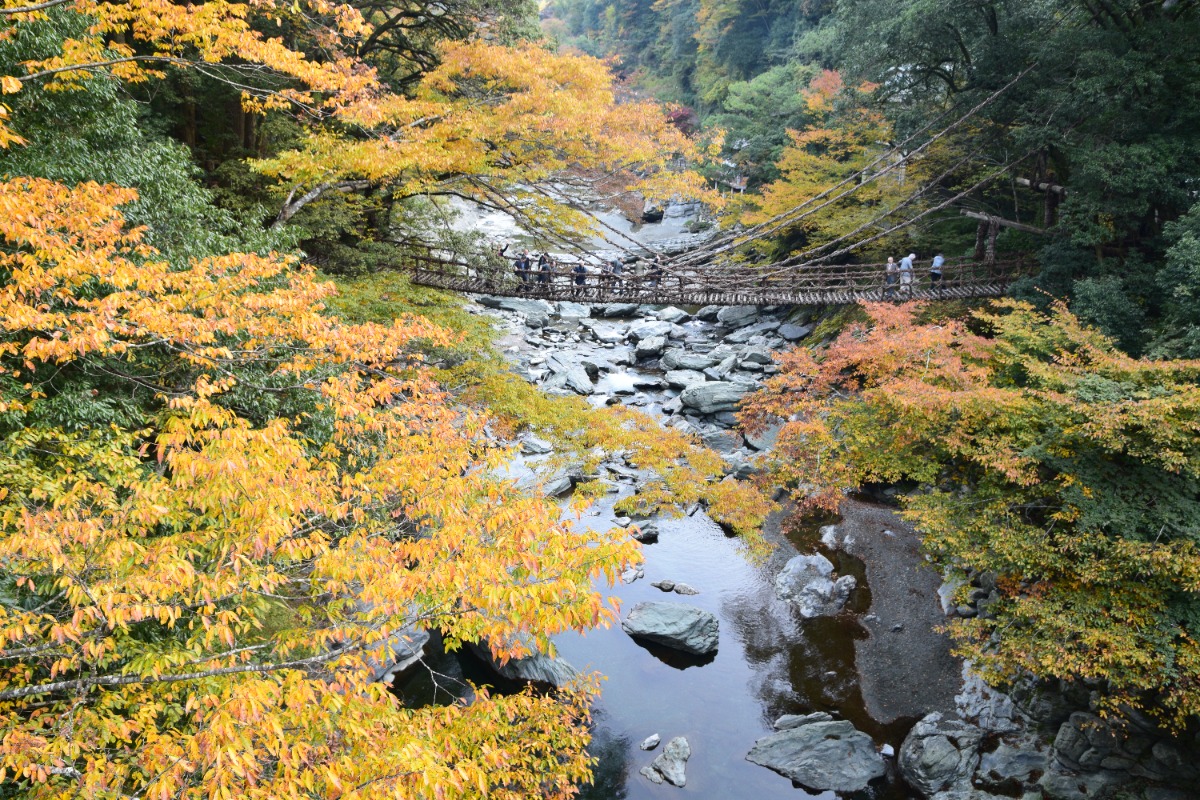徳島の紅葉スポットまとめ2025【秋のドライブコースはここで決まり！】