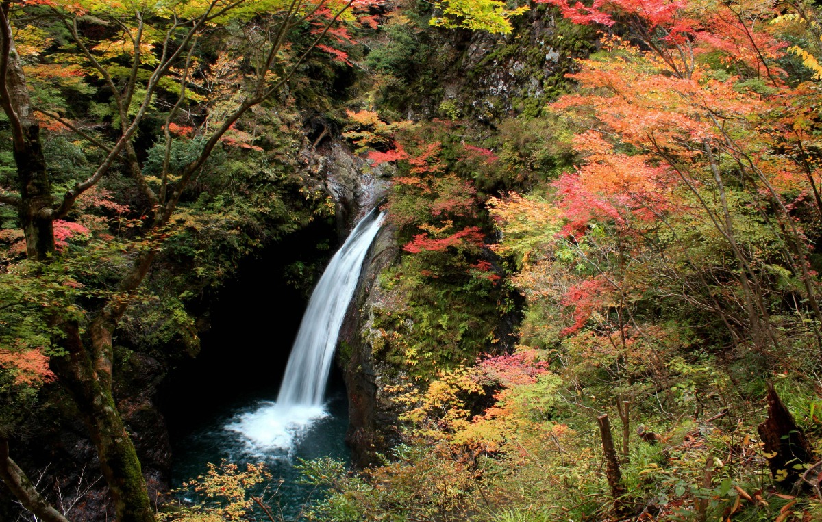 徳島の紅葉スポットまとめ2025【秋のドライブコースはここで決まり！】