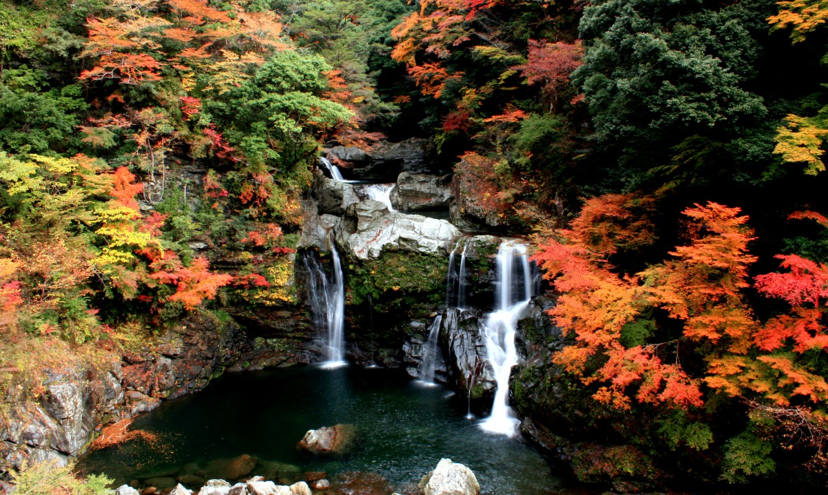 徳島の紅葉スポットまとめ2025【秋のドライブコースはここで決まり！】