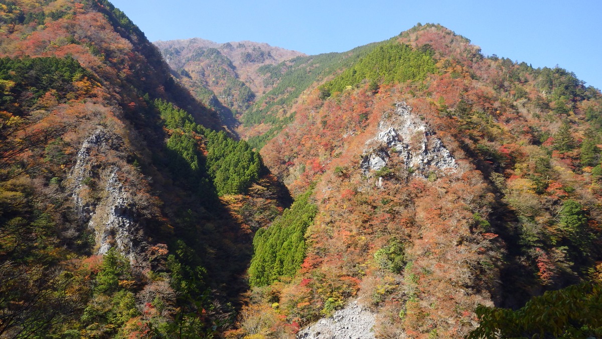 徳島の紅葉スポットまとめ2025【秋のドライブコースはここで決まり！】