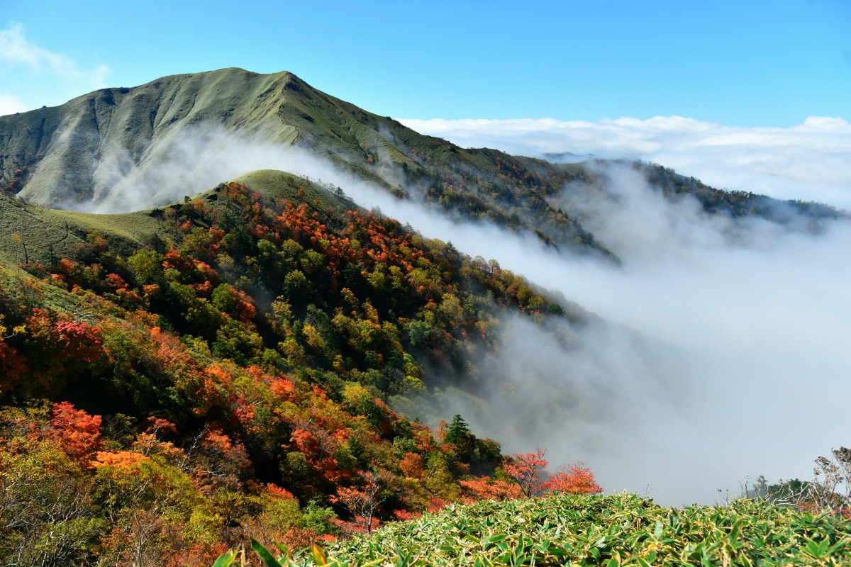 徳島の紅葉スポットまとめ2025【秋のドライブコースはここで決まり！】