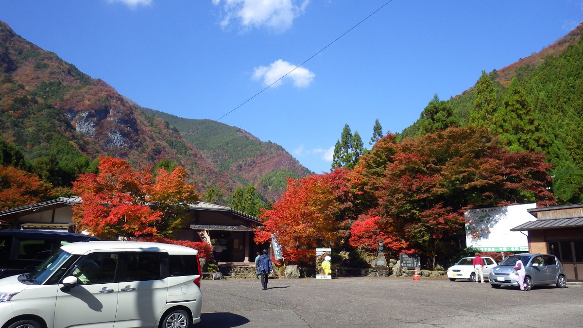 【2024年最新版】徳島の紅葉スポットまとめ/おでかけ・ドライブ