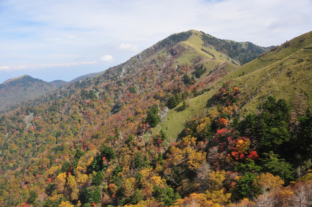 徳島の紅葉スポットまとめ2025【秋のドライブコースはここで決まり！】