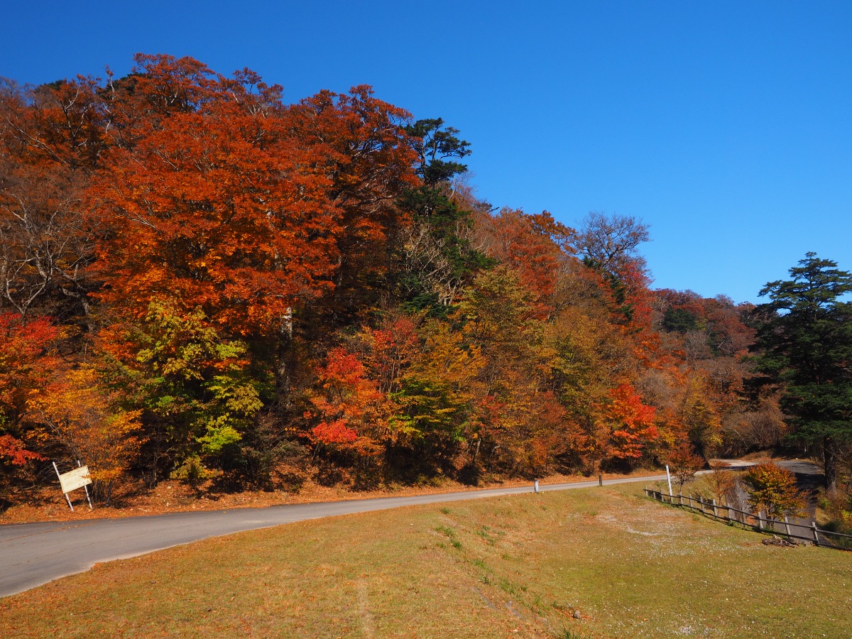 徳島の紅葉スポットまとめ2025【秋のドライブコースはここで決まり！】