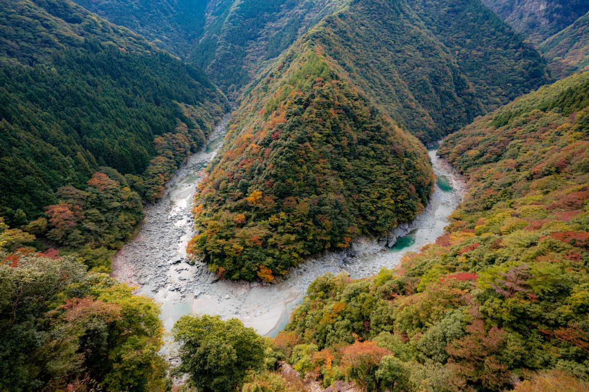 徳島の紅葉スポットまとめ2025【秋のドライブコースはここで決まり！】