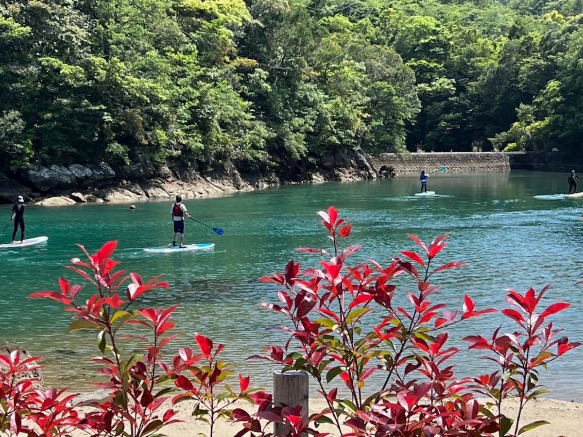 徳島のおすすめキャンプ場まとめ2025 ～価格・設備・タイプ別で比較に便利！～【随時更新】