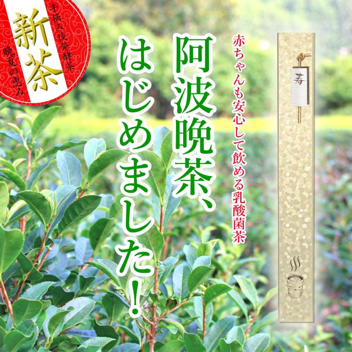 【6月2日はおむつの日】徳島発、世界初のユニークな出産祝いギフト「おむつ寿司」！！