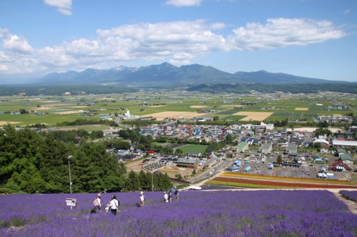 夏の絶景!なかふらのラベンダーまつり&花火大会が7月12日開催