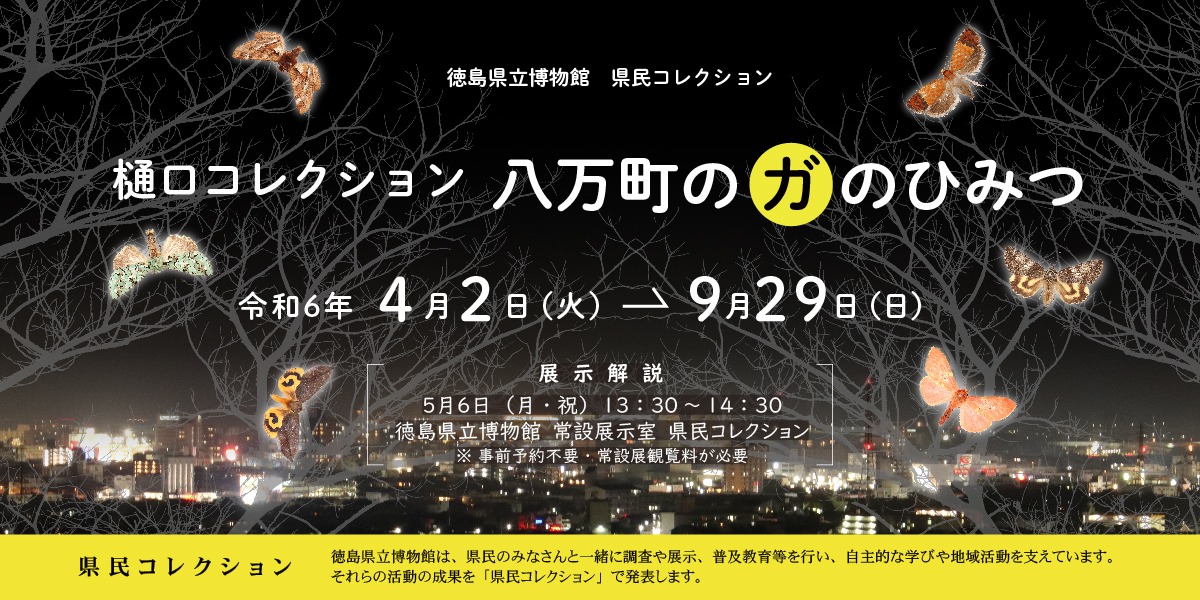 【徳島イベント情報2024】徳島県立博物館【8月】