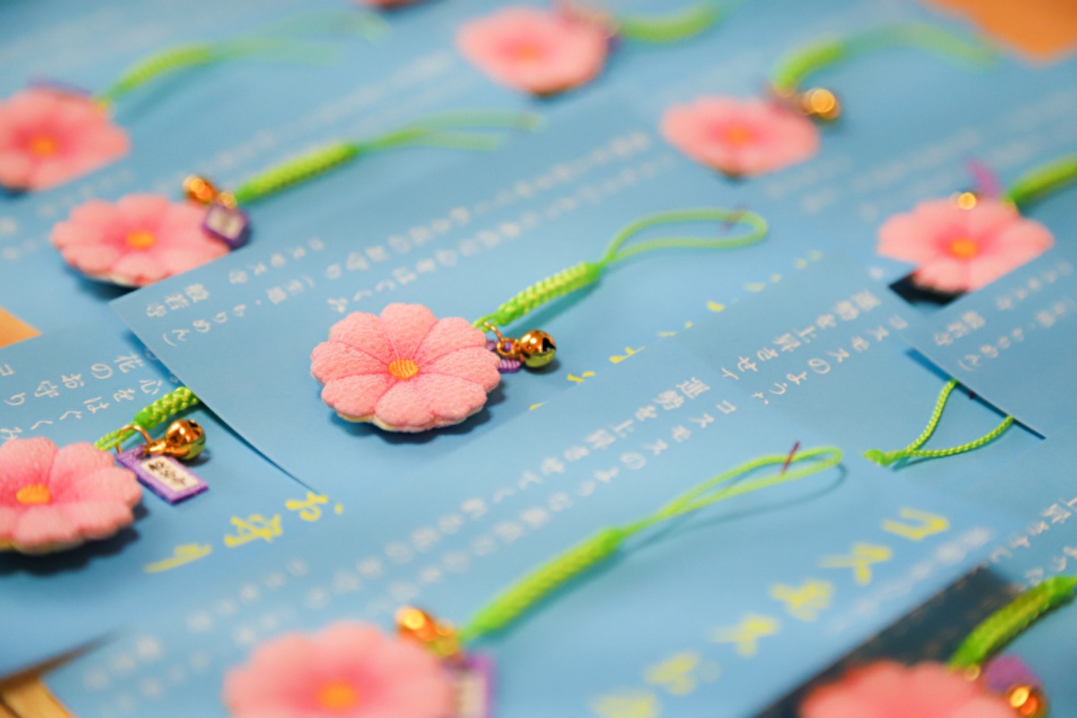 【奈良の秋の花2023】15種類、約15万本ものコスモスが咲き乱れる「コスモス寺」こと般若寺｜奈良市