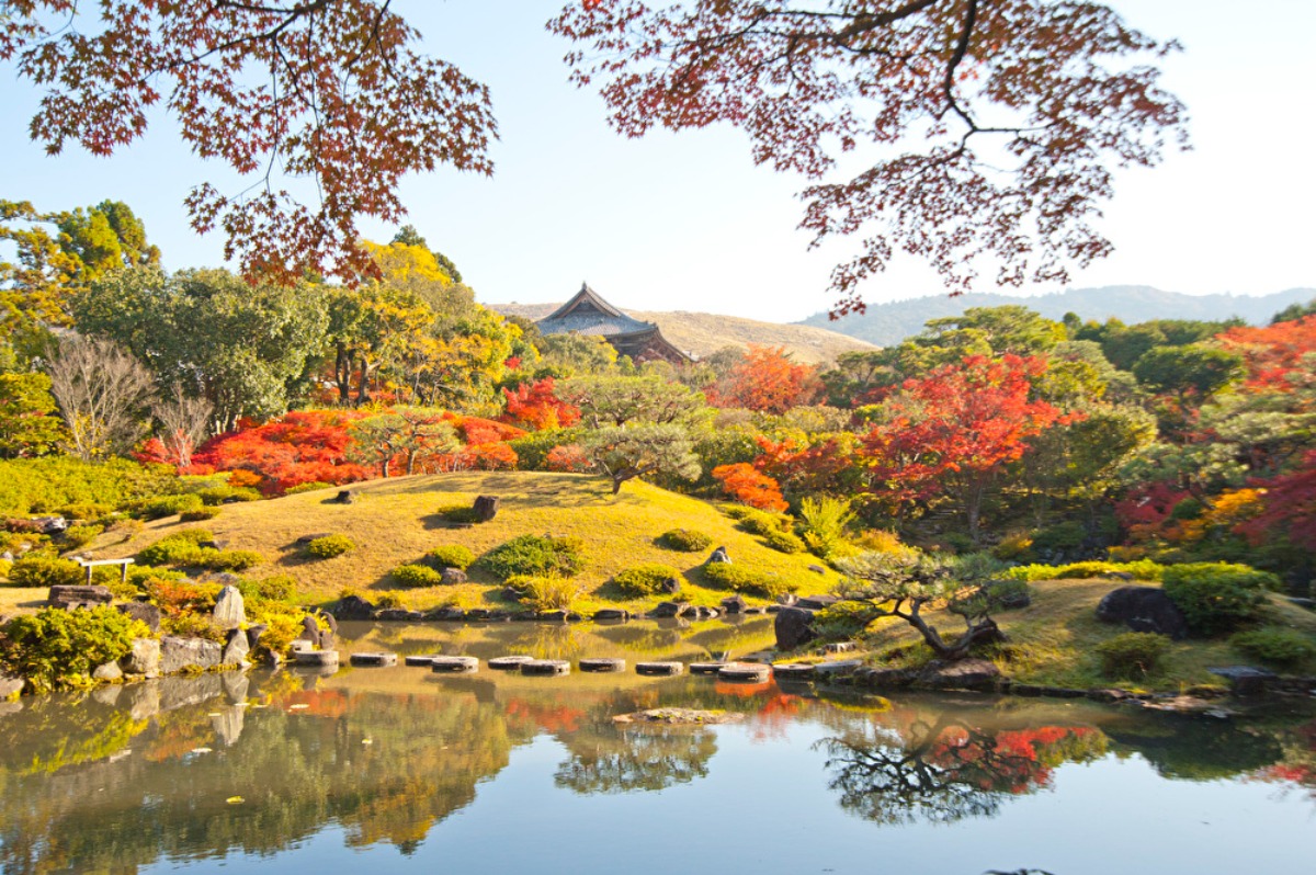【奈良の紅葉2023】静寂に包まれた二種の日本庭園に色づく「依水園」の紅葉の美｜奈良市
