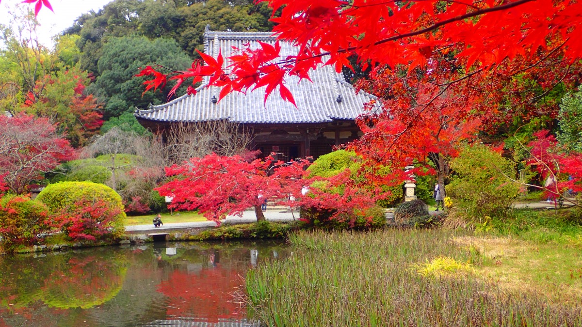 【奈良の紅葉2023】歴史ある寺「長岳寺」の古より変わらぬ美しい紅葉｜天理市