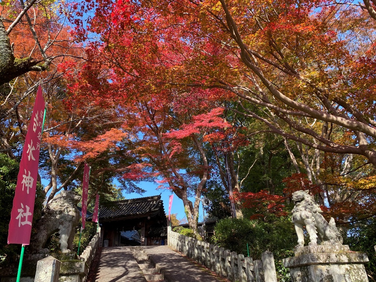 【奈良の紅葉2023】数々の歴史の舞台となった「吉水神社」から望む一目千本の絶景｜奈良県吉野郡吉野町