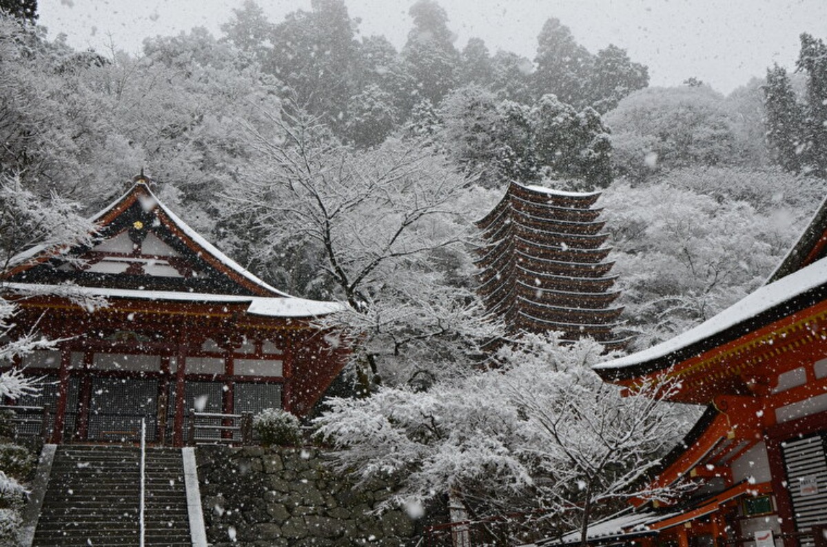 【奈良の初詣2024｜談山神社】年越しライトアップも必見！冬景色も素晴らしい神社｜桜井市