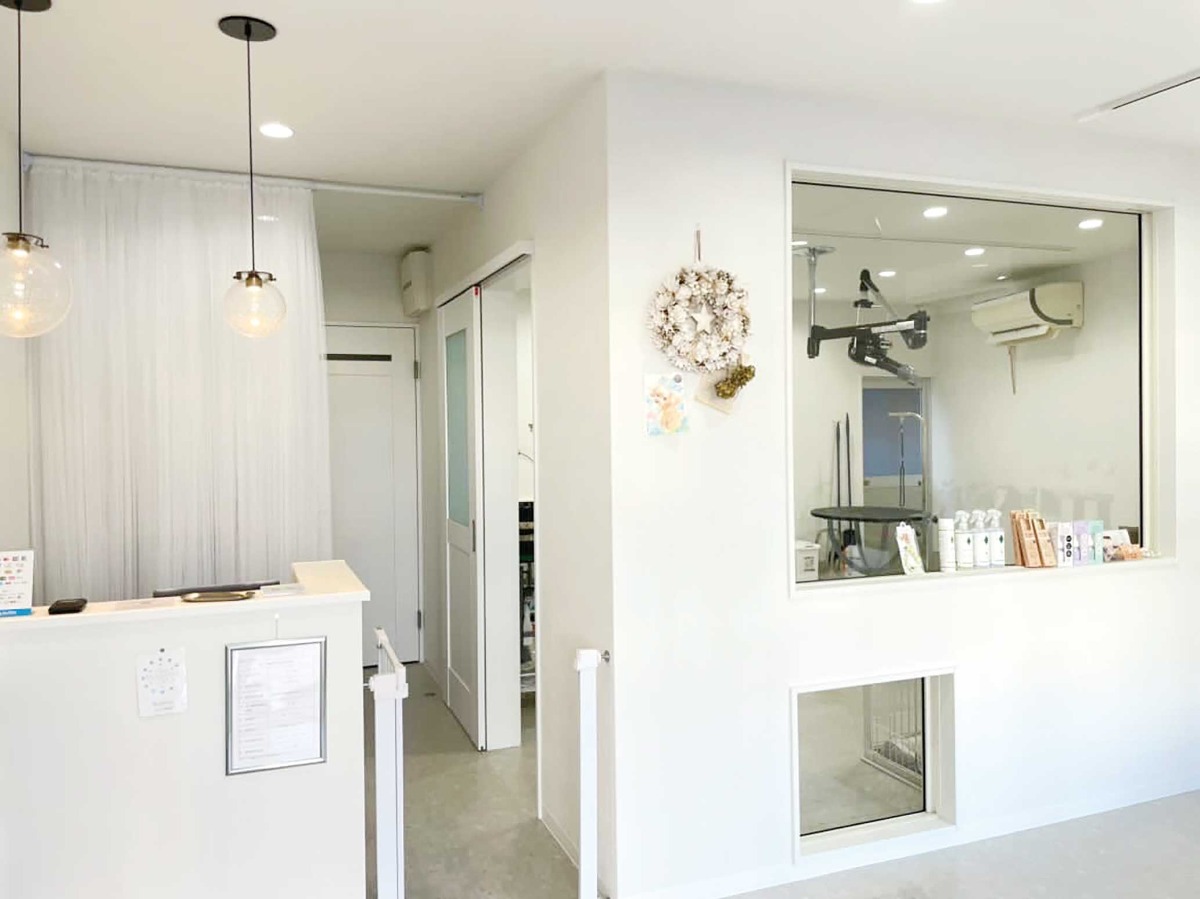 【2025】新生活特集｜春は新しいことはじめよう／グルメ／習いごと／ペット／ライフ／暮らし