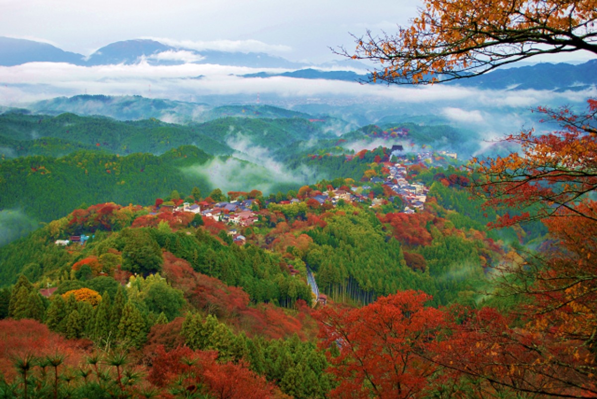 山全体が世界遺産!スケールの大きい絶景紅葉スポット【吉野山|吉野町】