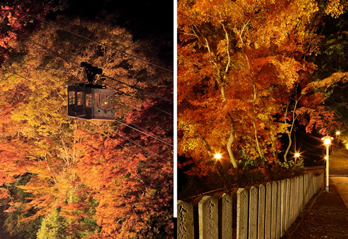 山全体が世界遺産!スケールの大きい絶景紅葉スポット【吉野山|吉野町】