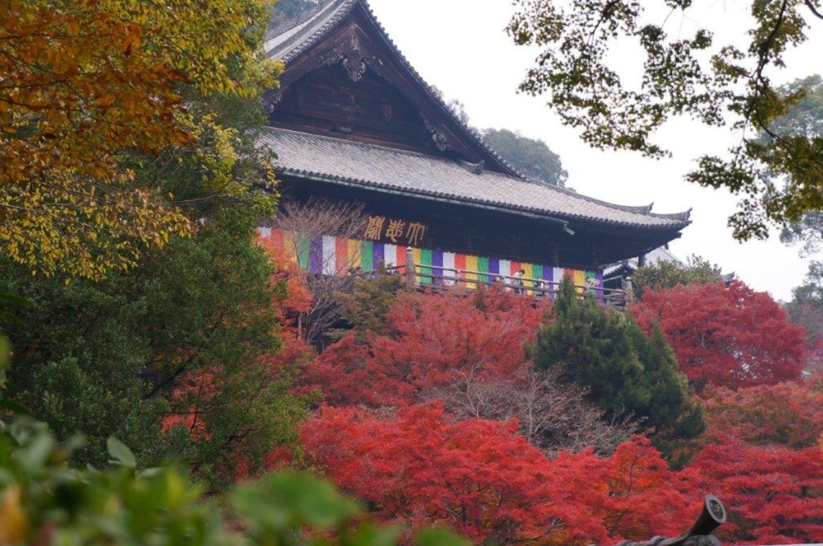 【奈良の紅葉2023】深まる秋を堪能しよう！奈良の紅葉スポットまとめ Part2