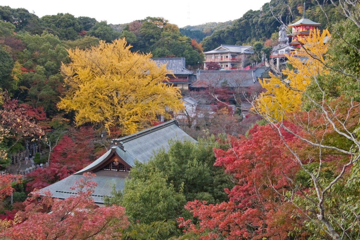 【奈良の紅葉2023】深まる秋を堪能しよう！奈良の紅葉スポットまとめ Part2