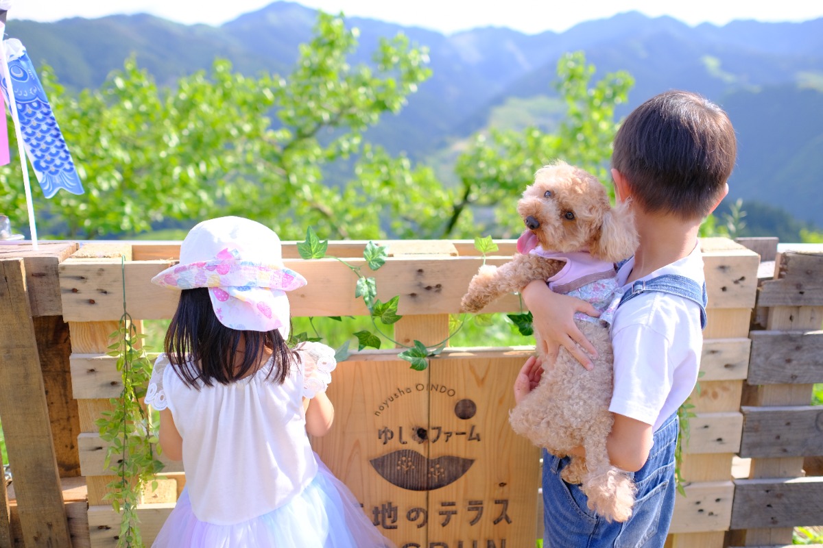 【ゆしおファーム天地のテラスGLAMPING】グランピング初心者にもおすすめ!BBQも楽しもう【奈良のホテル特集2025】