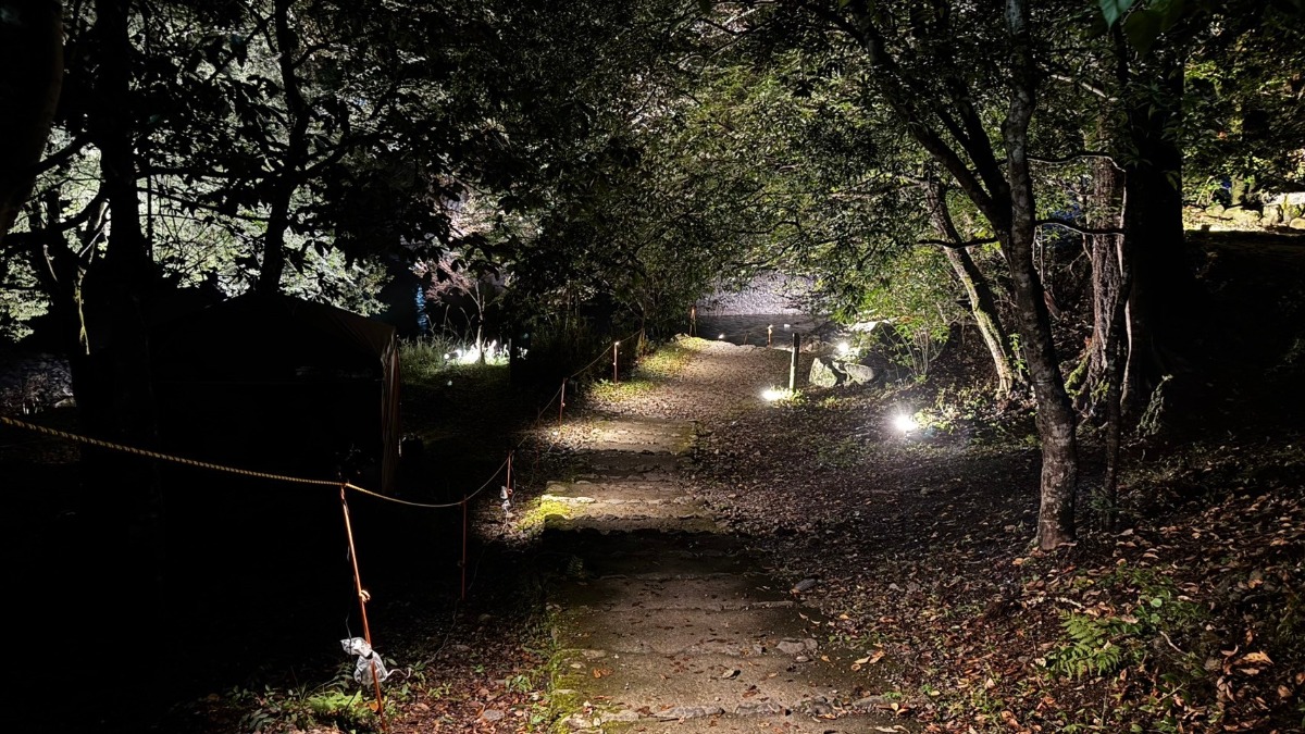 幻想的な空間が広がる「東の滝・夢淵ライトアップ」【東吉野村】