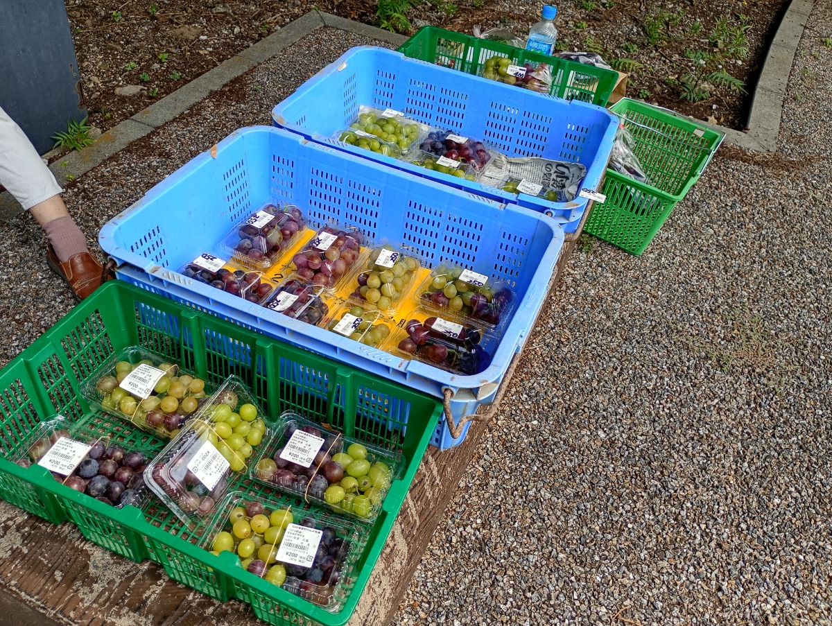 【徳島イベント情報2026】3/1｜第17回 かもだフリマルシェ