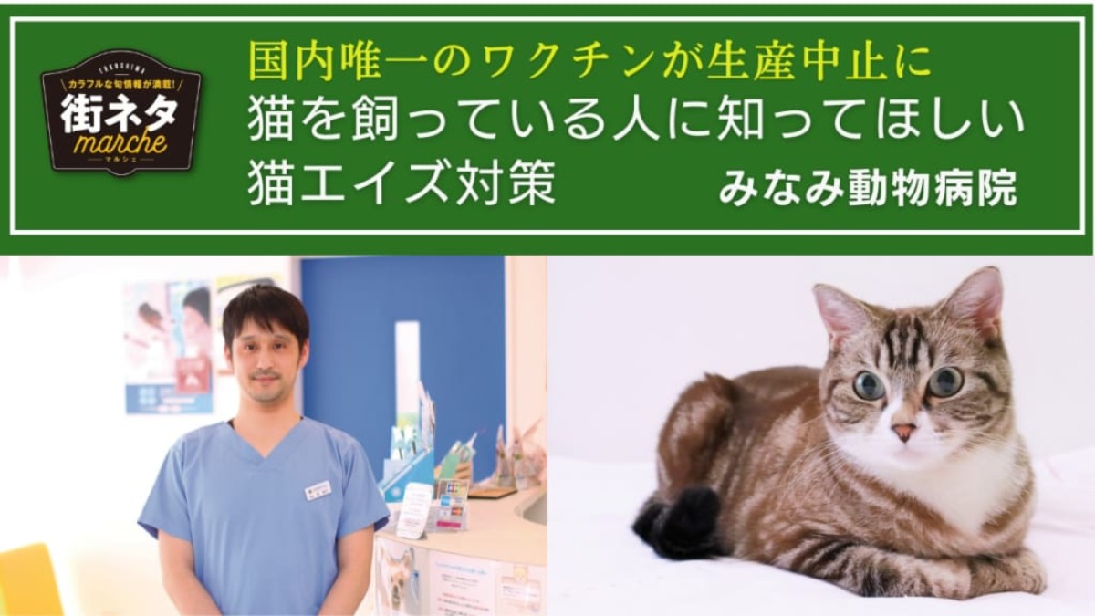 【街ネタ／みなみ動物病院（板野郡藍住町）】国内唯一のワクチンが生産中止に。猫を飼っている人に知ってほしい猫エイズ対策