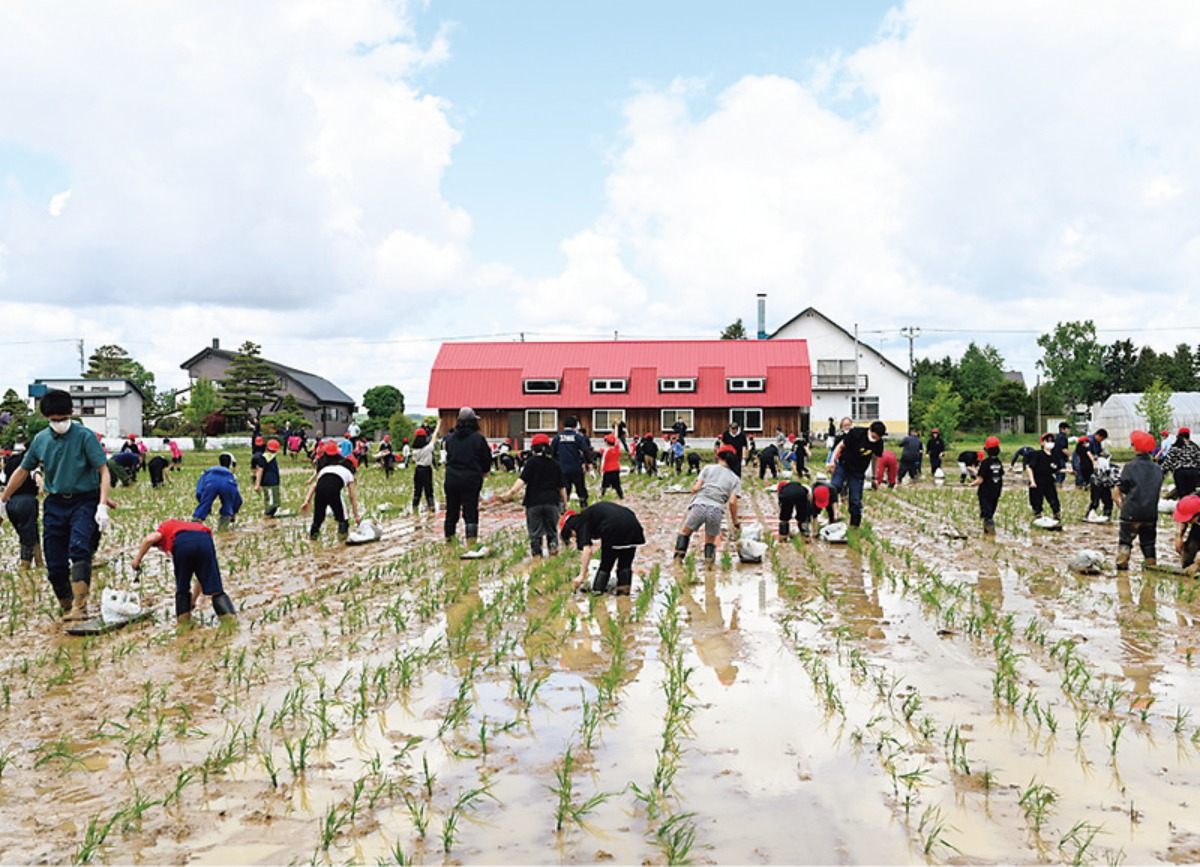 北海道移住｜当麻町の木育・食育・花育、子育て支援で未来を育む