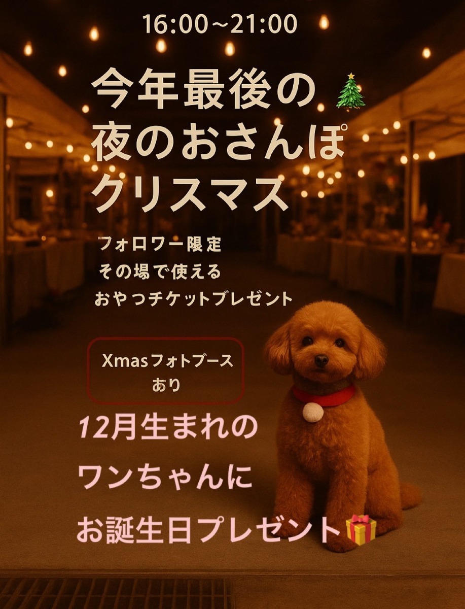 【徳島イベント情報2025】イベントピックアップ!! ～ 今週末のおでかけ情報をチェック!! ～【2025年12月20日～2025年12月26日】