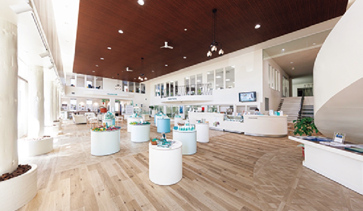 春から夏のオホーツク案内｜北見市　春はツツジ、夏には和ハッカと、 香りと色彩に包まれるまち