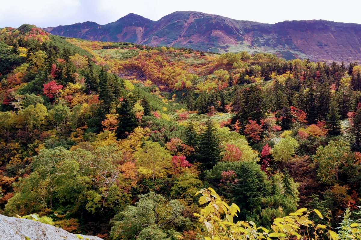 やぎさん取材日記｜日本一早い、北海道の紅葉を見られる温泉宿。