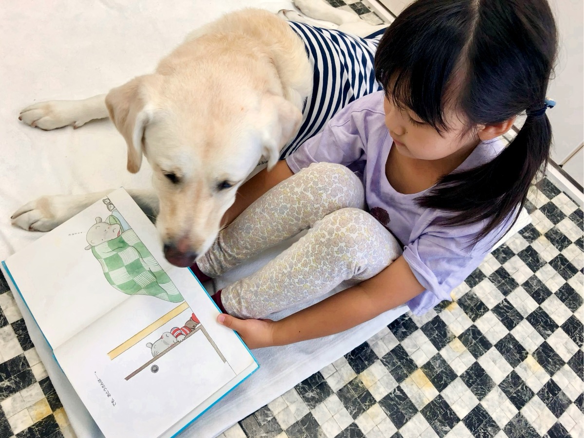 【2023年10月スタート／読書犬活動・NPO法人補助犬とくしま（徳島市八万町）】こどもが犬に読み聞かせ、心を育む