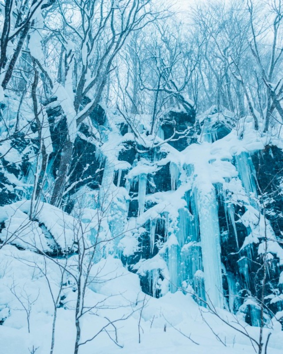 奥入瀬渓流｜氷瀑の美しさを屋内に表現「氷瀑アートストリート」誕生！