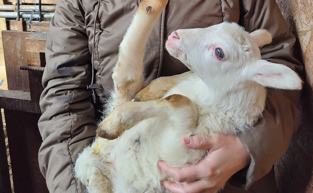 札幌→石狩地方へ行ってきました！（後編／２日目）