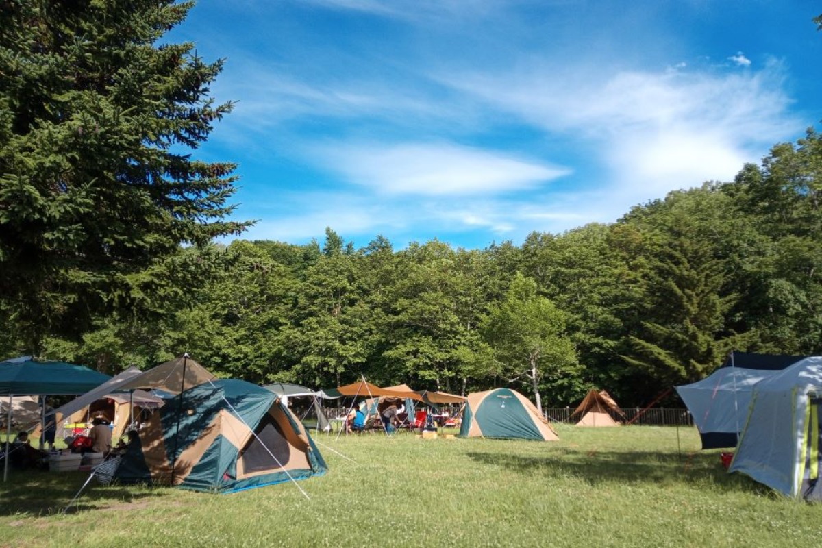 滝野公園・自然と遊ぶ夏「滝野のなつやすみ」8月31日まで開催