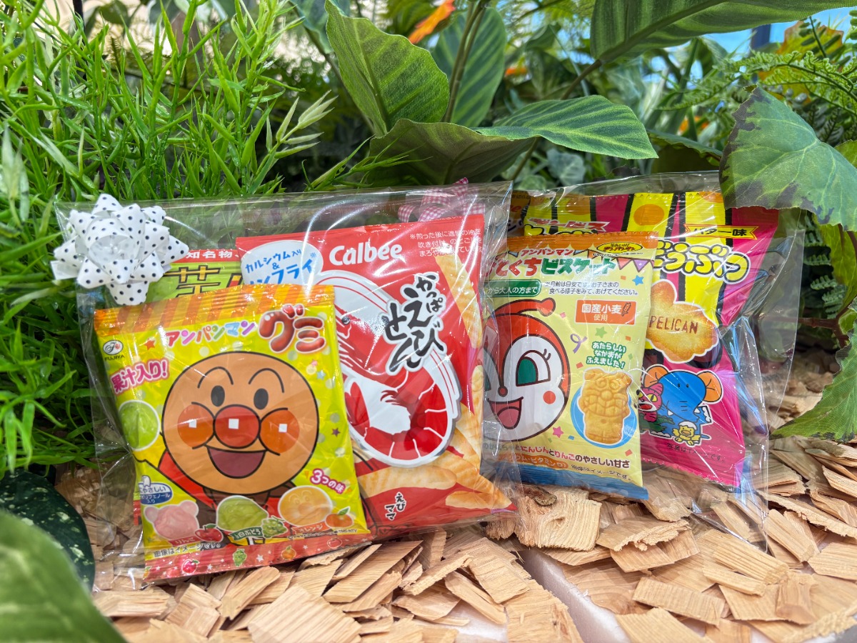 11月23日開催!ハイハイレース in スズキアリーナ奈良郡山!赤ちゃん大集合♪