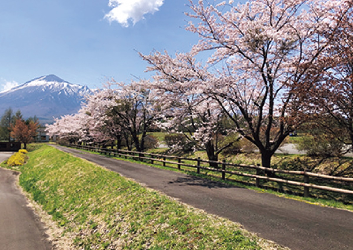 南北海道から北東北へ｜八幡平市　北東北の交通の要衝を担う、 広大な自然が広がるまち