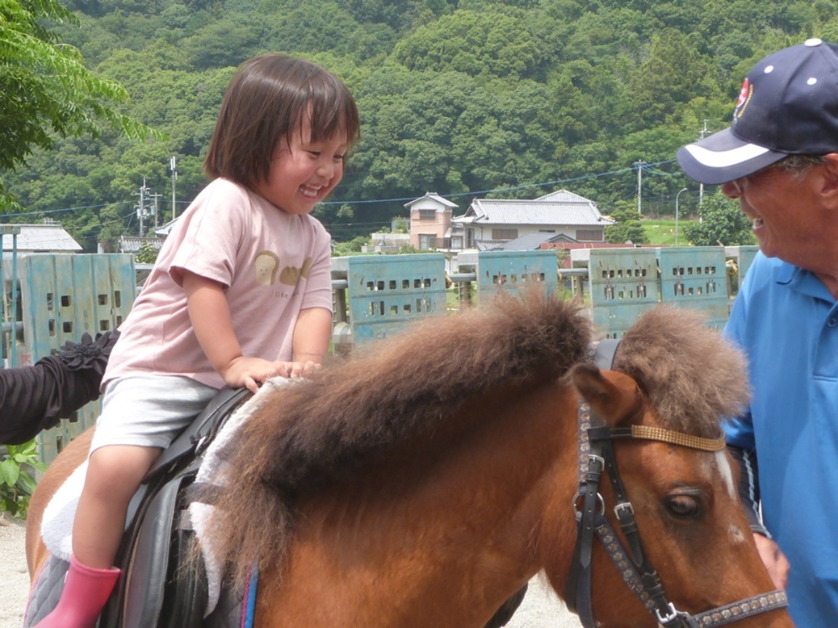 徳島の乗馬体験スポット3選｜おでかけ／体験／レジャー｜那賀町・阿波・小松島市