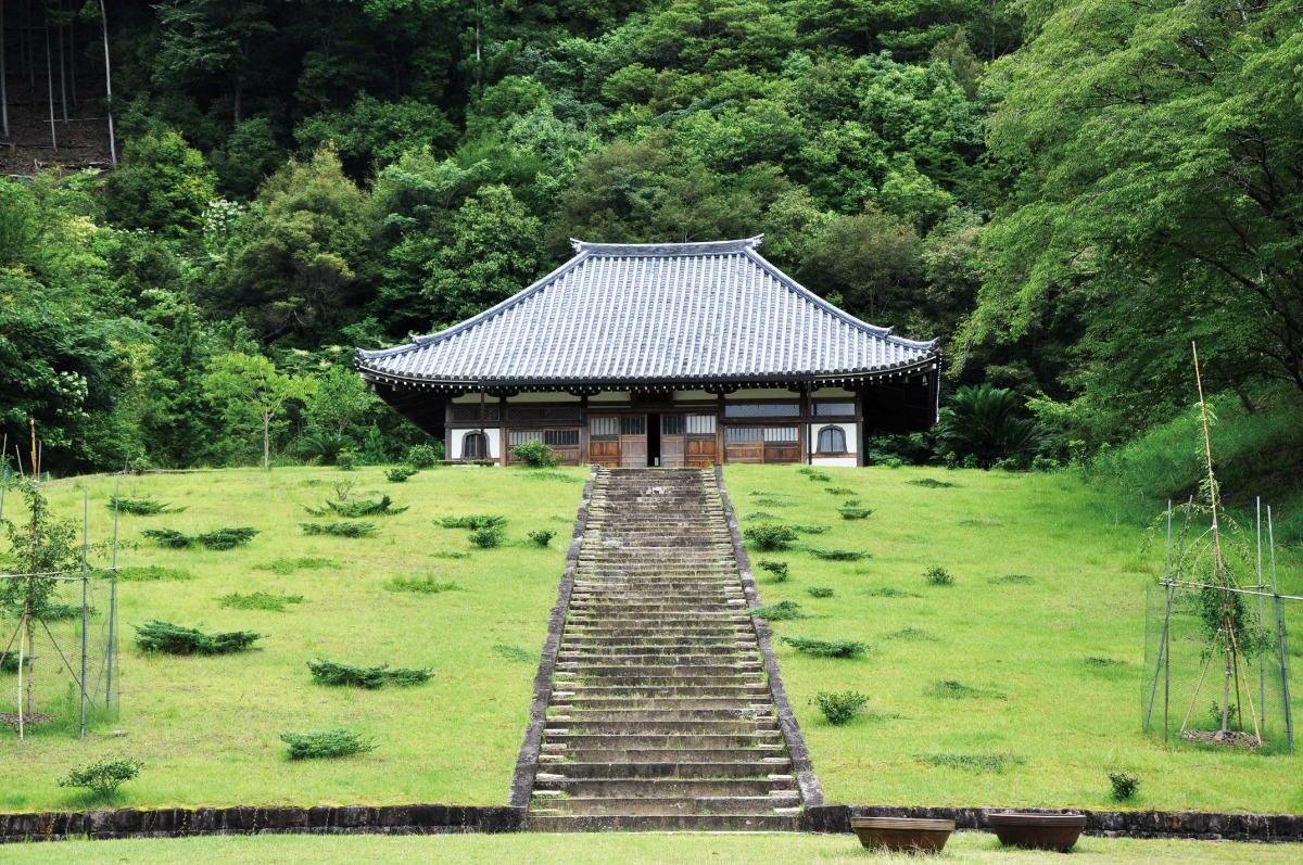 【2025阿波おどり】編集部が推す!徳島の観光スポット