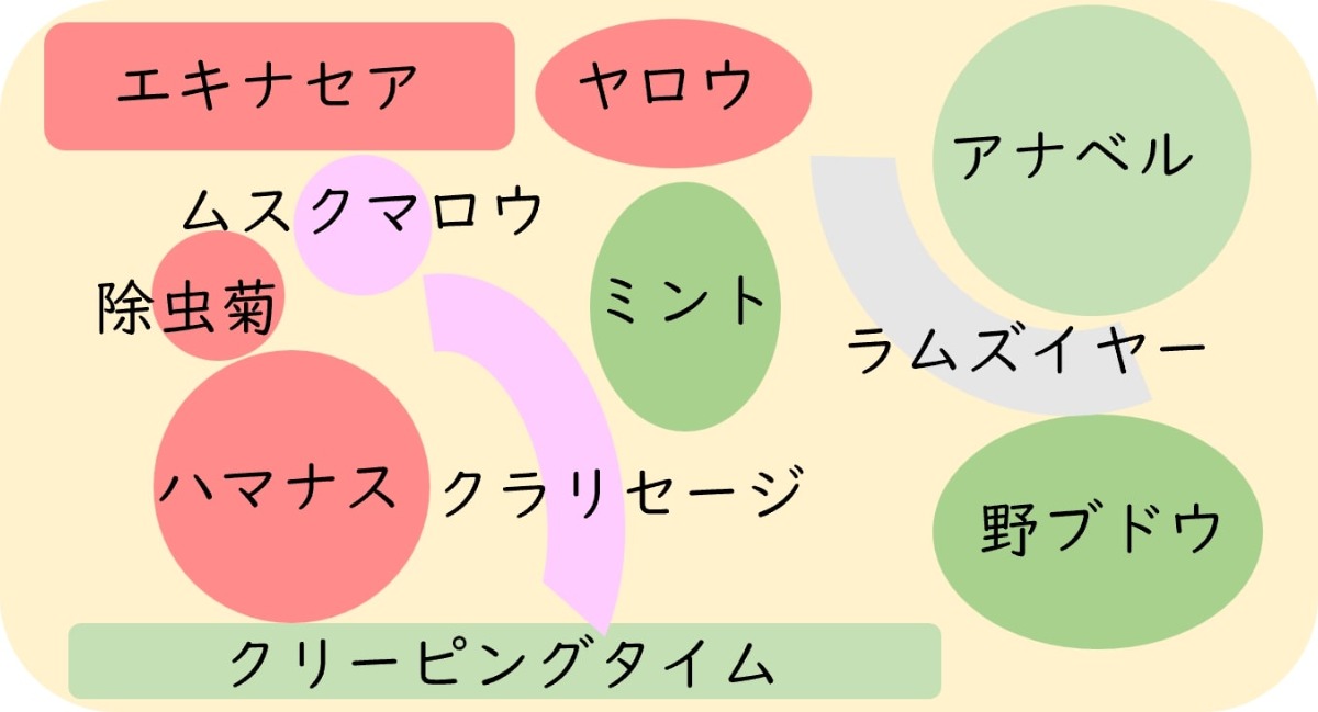 ポタジェ|菜園のデザイン!ハーブの開花と野菜が育つ7月の様子