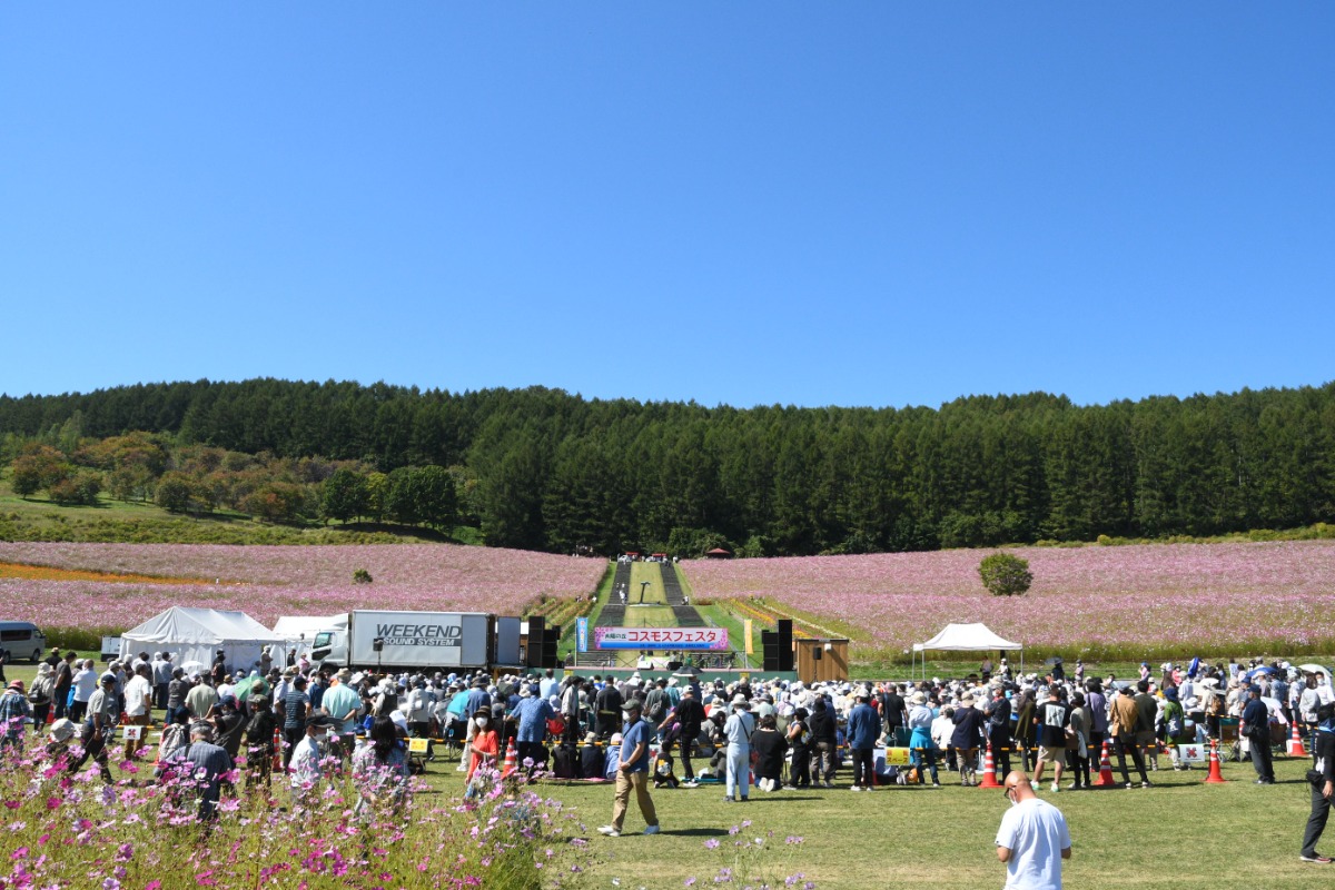 丘一面に満開の花！「太陽の丘コスモスフェスタ2024」9月8日開催