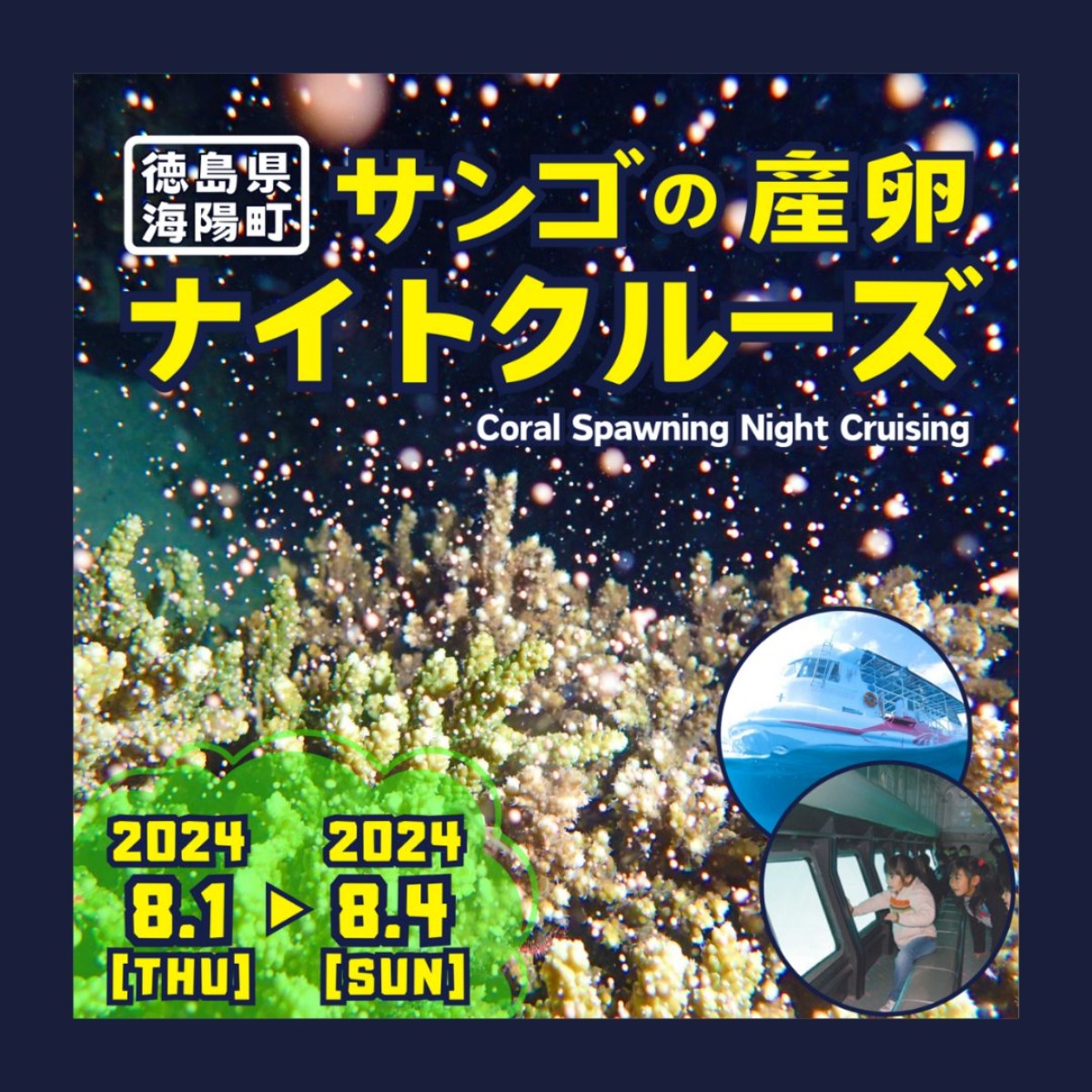 【徳島イベント情報2024】8/1～8/4｜サンゴの産卵ナイトクルーズ【中止】