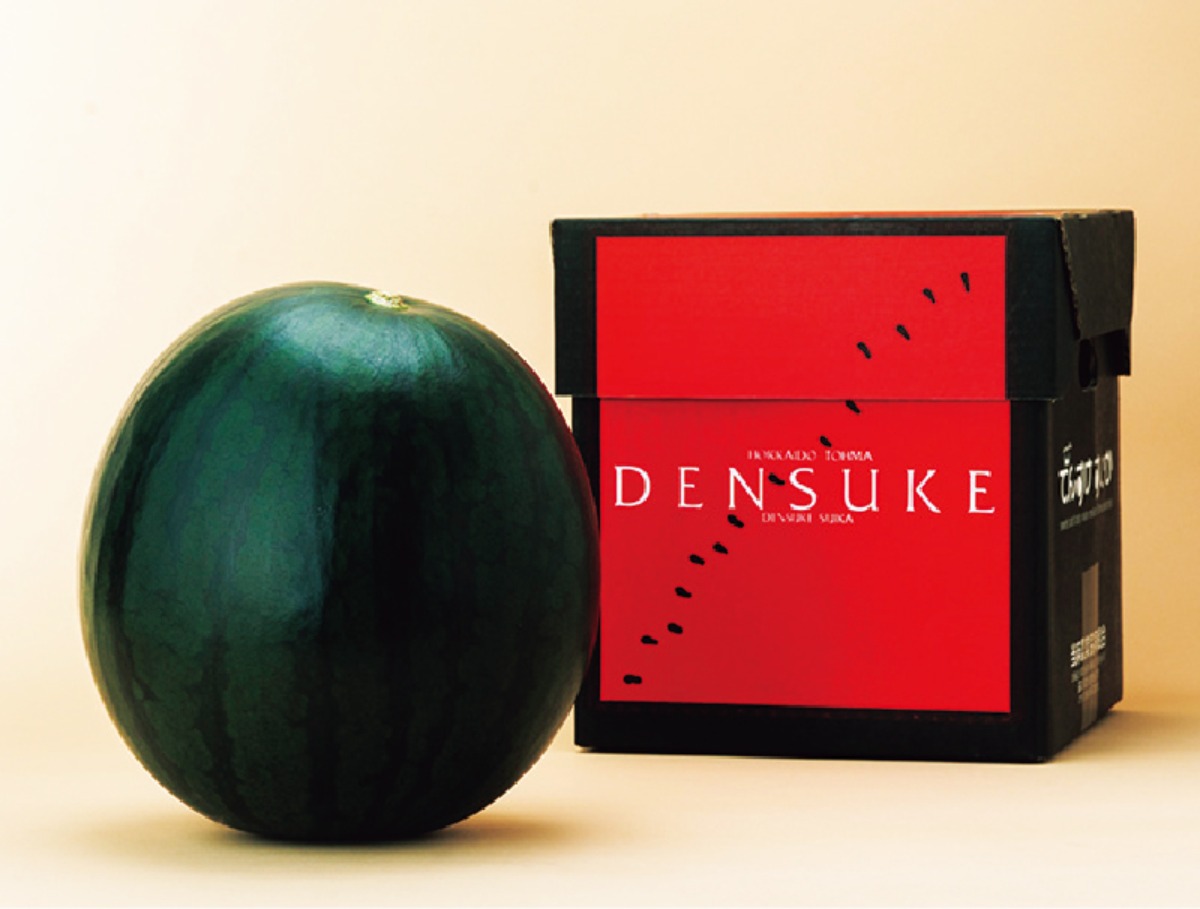 北海道移住案内2026・春｜当麻町　資材補助や移住支援、充実の子育てサポート