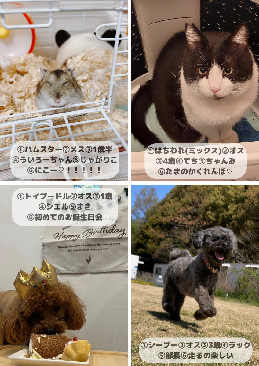 【ペットフォトコンテスト】幸せを呼ぶペットライフ　We LOVE Pet2024年8・9月版