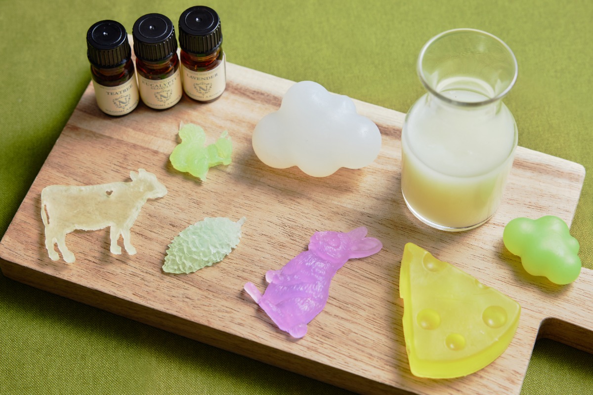 滑る派も遊ぶ派も！トマムで冬を遊び尽くす「トマフェス」開催